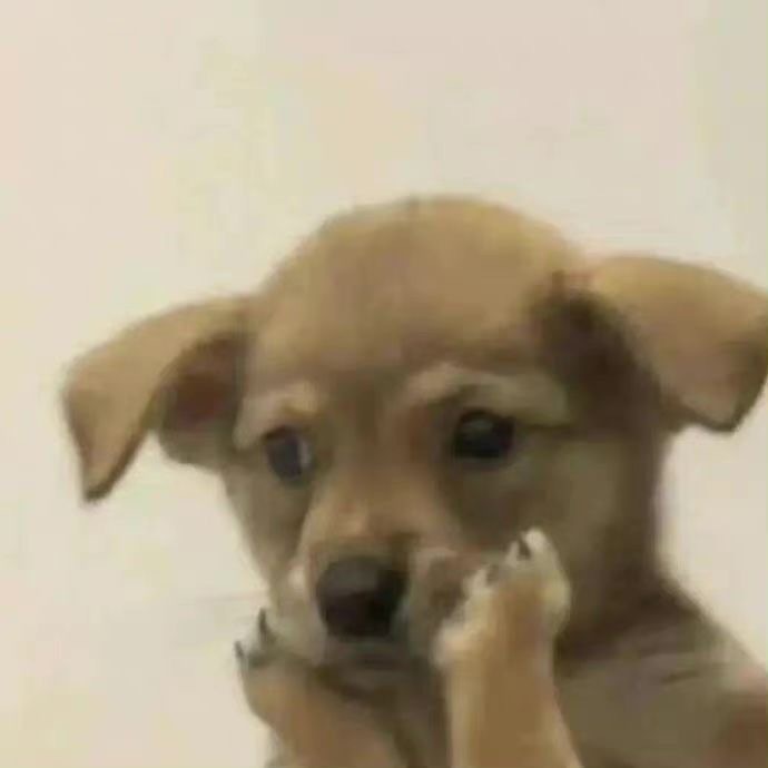 表情包丰富一下～