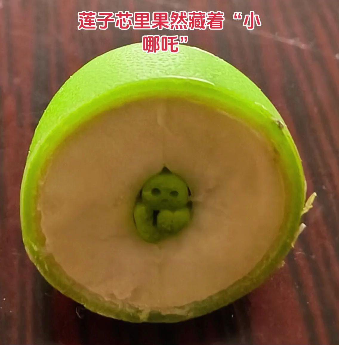 “小哪吒”莲子芯里果然藏着“小哪吒”