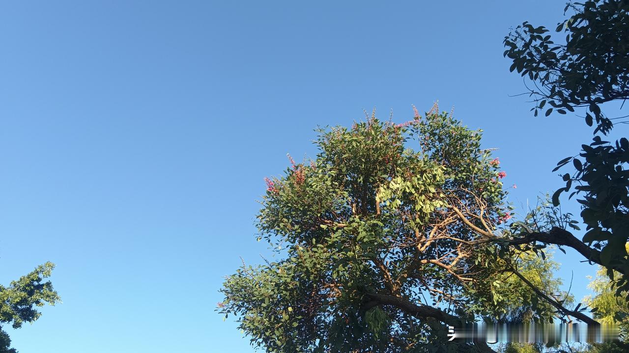 很多网友大骂药店套刷医保卡，说药店赚黑心钱什么的。其实药店爱干这事吗？——肯