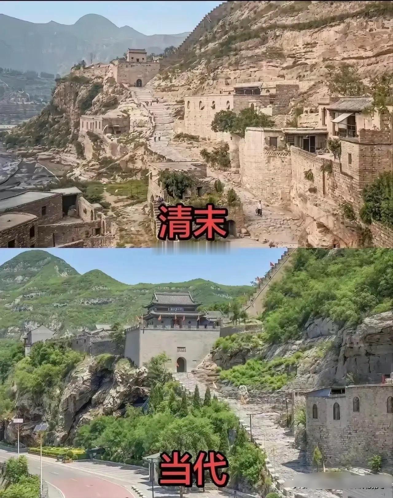 不得不承认，现在的绿植，不是以前能比的！