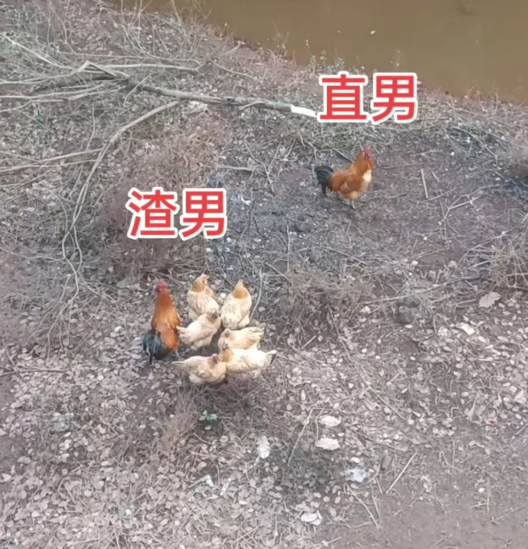 渣男面相第一，看眉。一般来说，男人眉毛散乱，出现交错混杂情况的，说明其内心不够安定，性格难以成熟，处