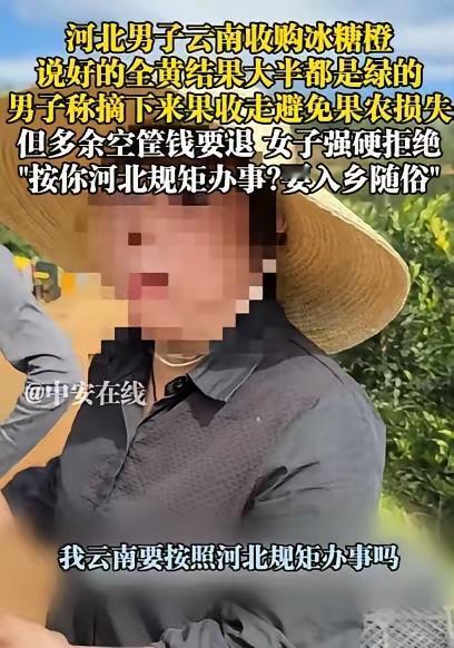 女子凭一己之力把果农干翻！云南，男子收购冰糖橙，和女子说好要全黄的，可第二天到果