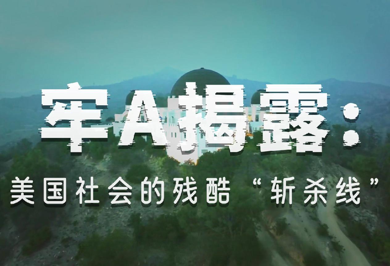 牢A对美国的打击太大了，超乎想象！牢A是UP主“斯奎奇大王”的昵称，他提出的