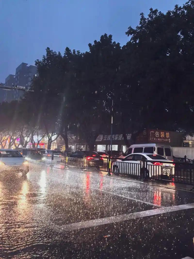 广东的雨还没下够，天上的“暑期档”却已经排满了。广州7月下了24天雨，直接刷新1