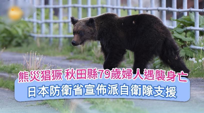 日本熊灾严重，自卫队出动应对，日网民叫嚣：中国给了日本军人实战的机会这两天，