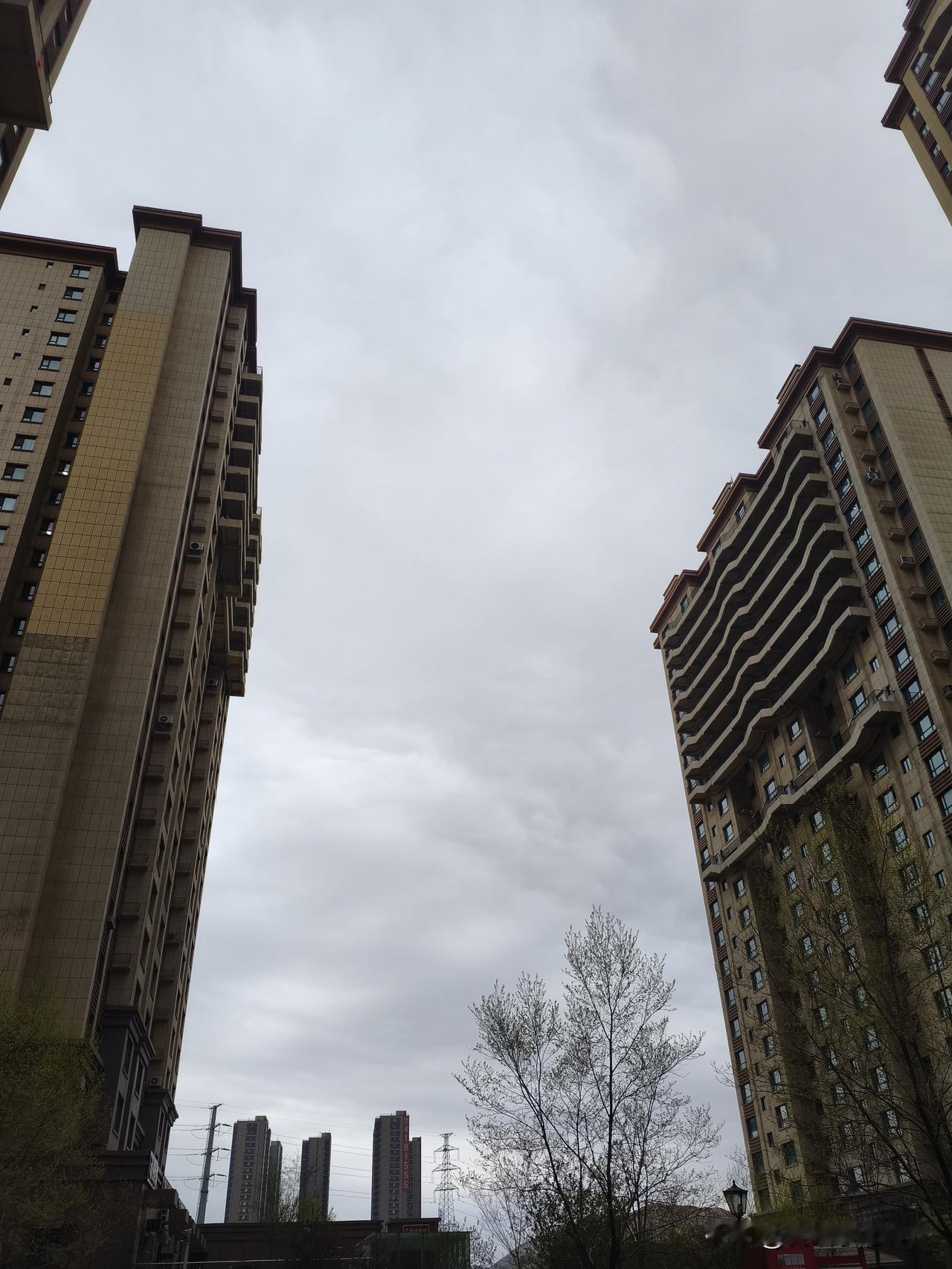 我是乌鲁木齐人，73年属牛的，今年53岁。前天（15号），是租客小陈给我交房