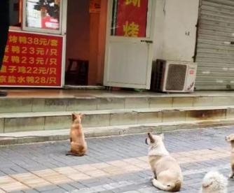 老板叫赵建国，开店至今整整十五年。这十五年来，他一直保持着一个无人知晓的温柔习惯