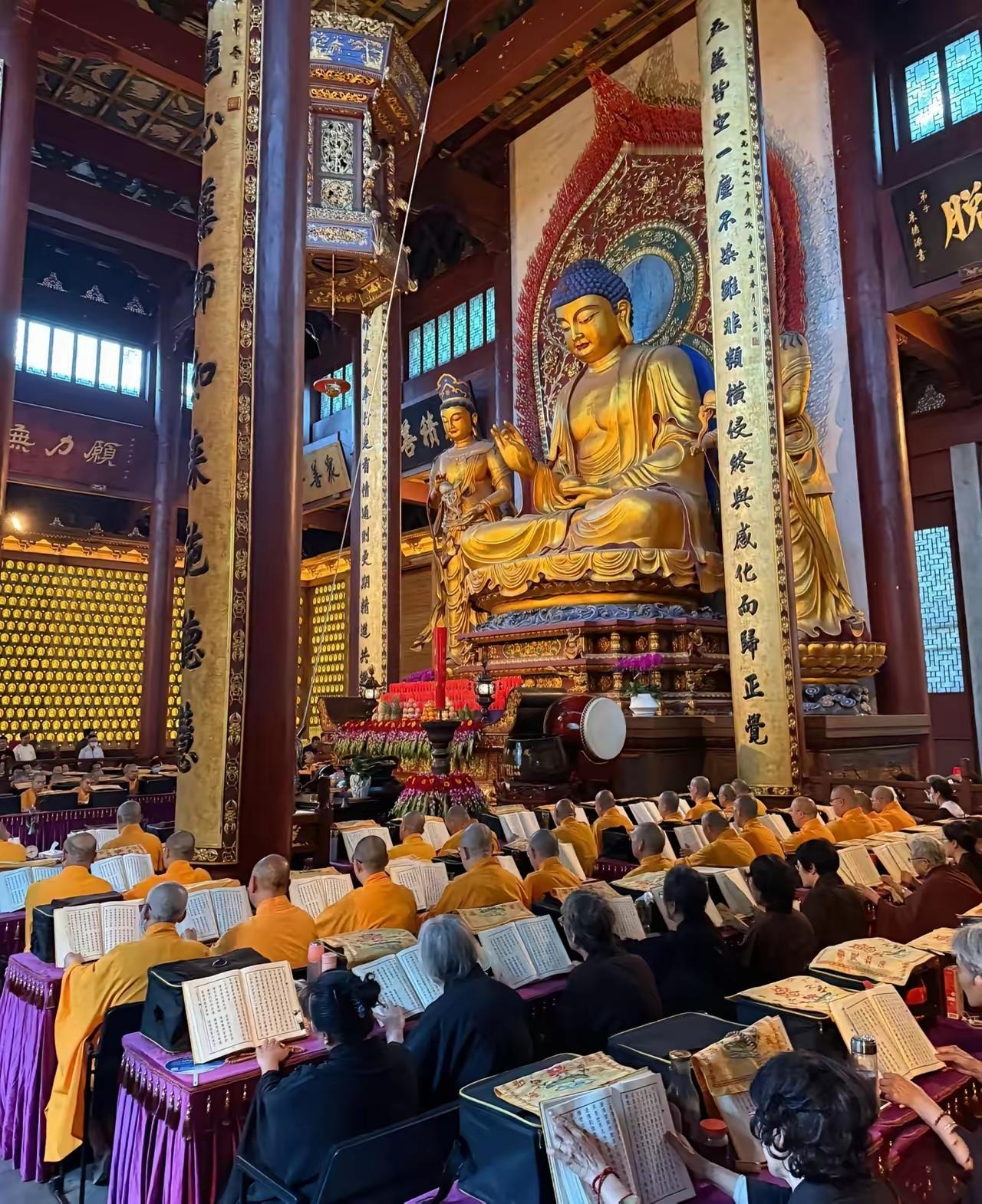 如果我是杭州老香客，今晚觉都不睡了，连夜跑去灵隐寺门口，马上要做的第一件事就是给