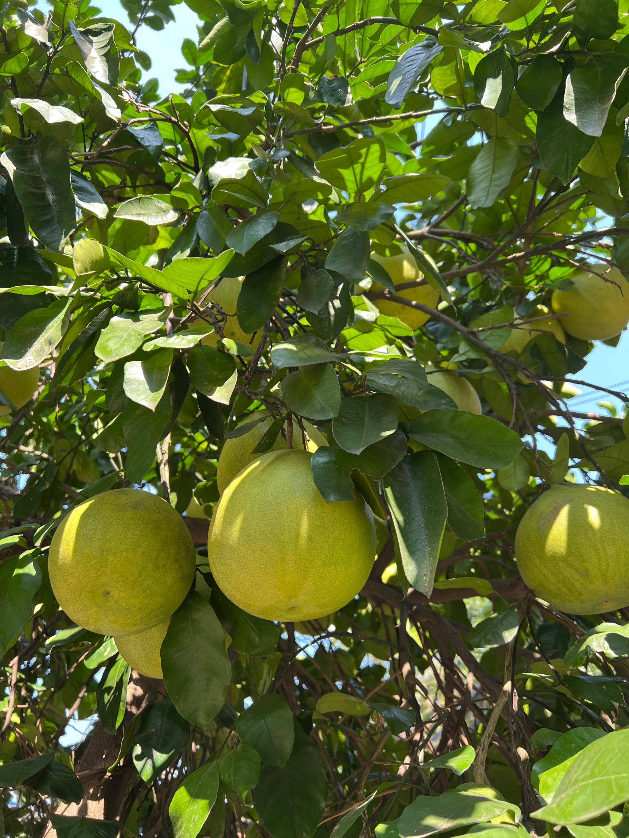 大雪节气后，这些美食值得打卡！