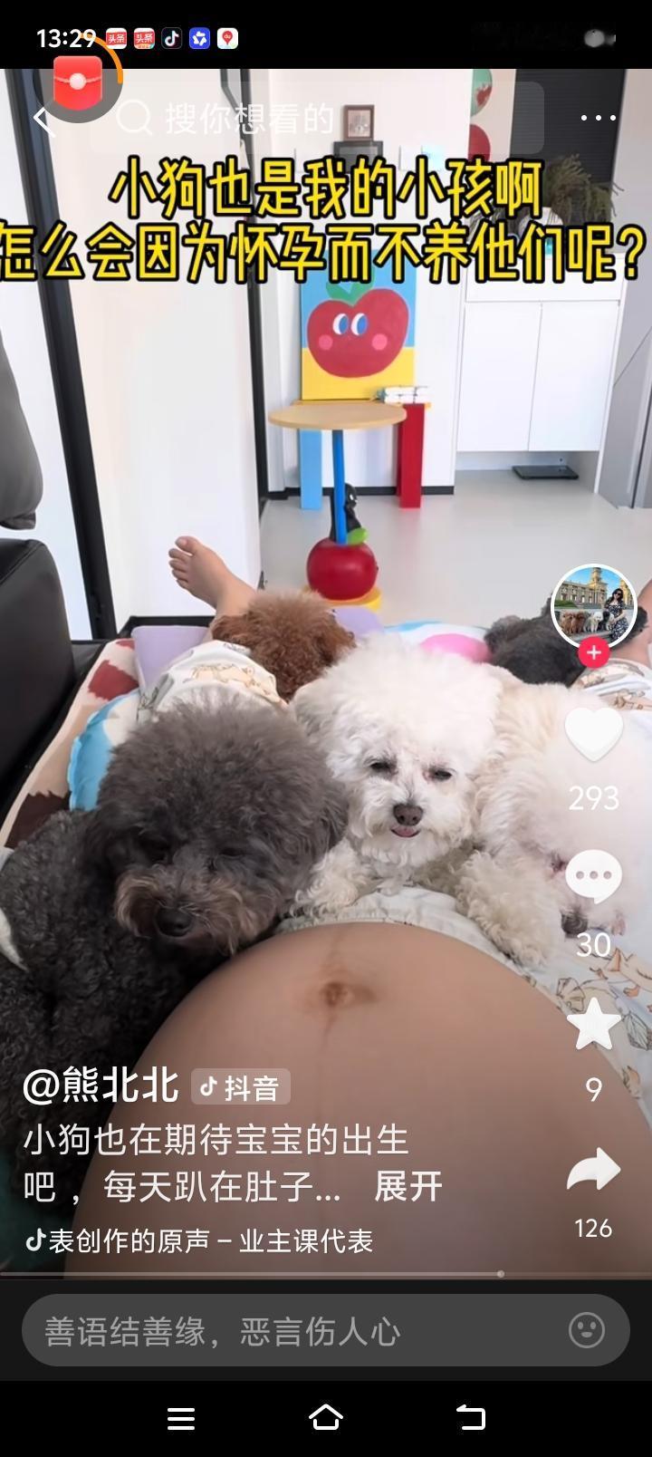 这些准妈妈们爱狗爱的过了头吧！都已经怀孕几个月了，一家人都会护着宠着孕妇，可