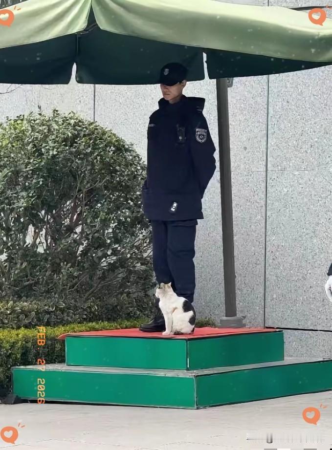 我特别欣赏邻居的儿子，一个普通二本的毕业生，投了上百份简历都石沉大海，但他没有