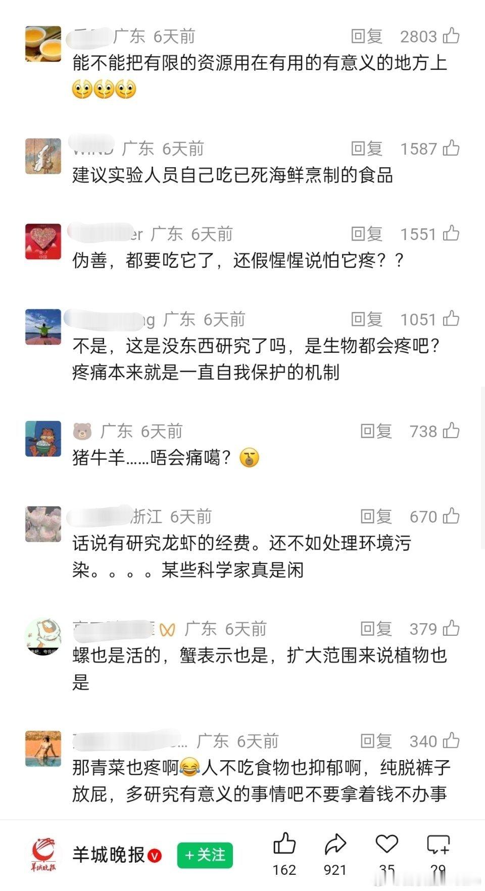 媒体：别活煮，龙虾会痛！