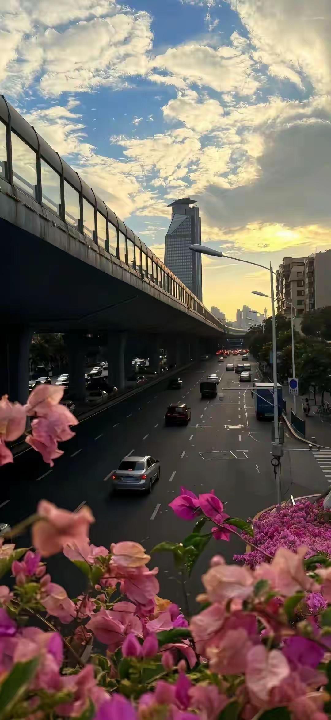 在中原大地，江湖中一直流传着一本神秘的武学秘籍——《玄天剑谱》，据说谁能得到它，