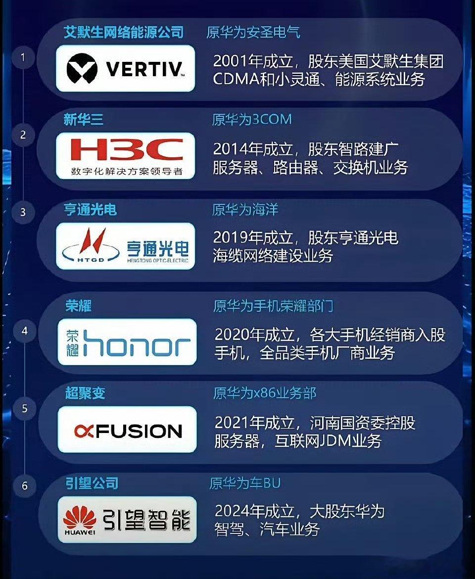 这六个公司确实是华为纯血公司，其中华三和华为海缆，虽然是合资公司，但是外方都是只