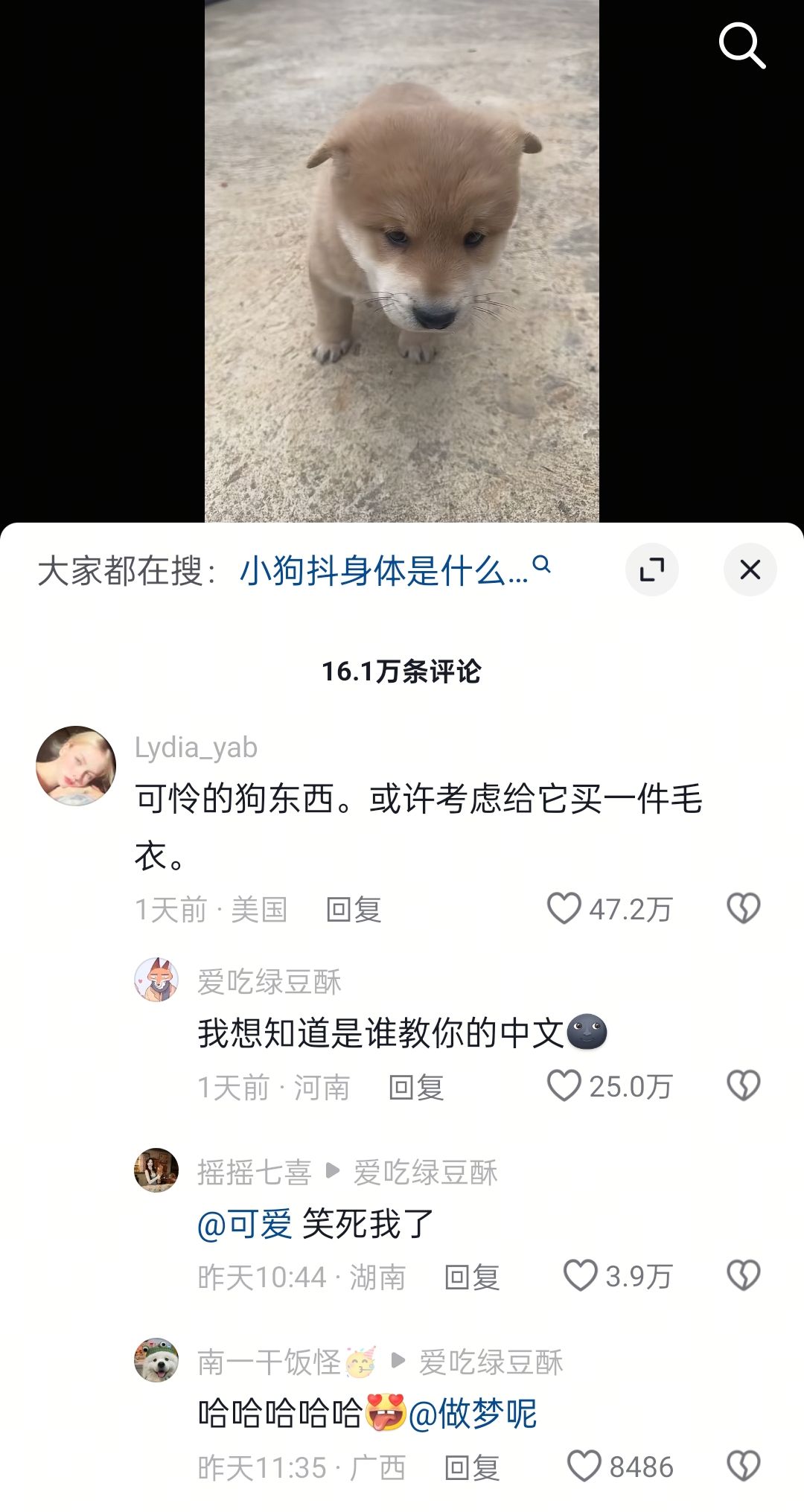 哈哈，笑死我了