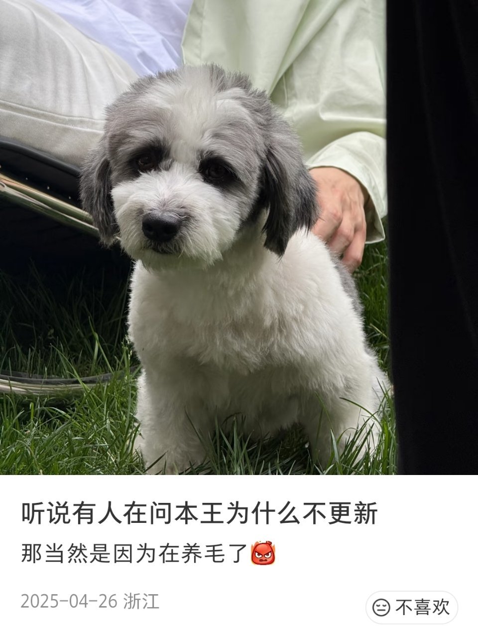 瓜子脸