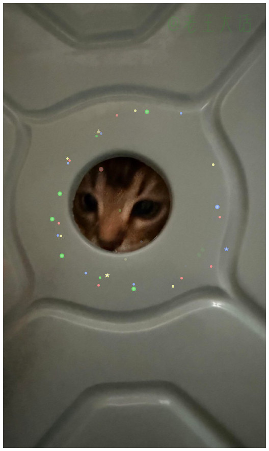 梅狸猫