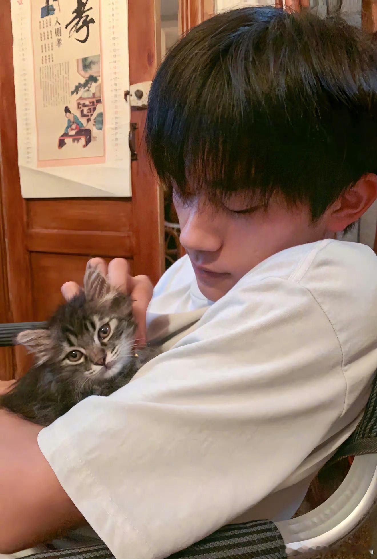 易烊千玺逗猫的手势很喜欢易烊千玺和猫咪相处时的松弛感，他逗猫的手势随性又轻柔，不
