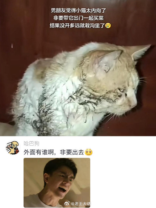 一次的相信换来了一生的内向哈哈哈哈哈哈哈哈