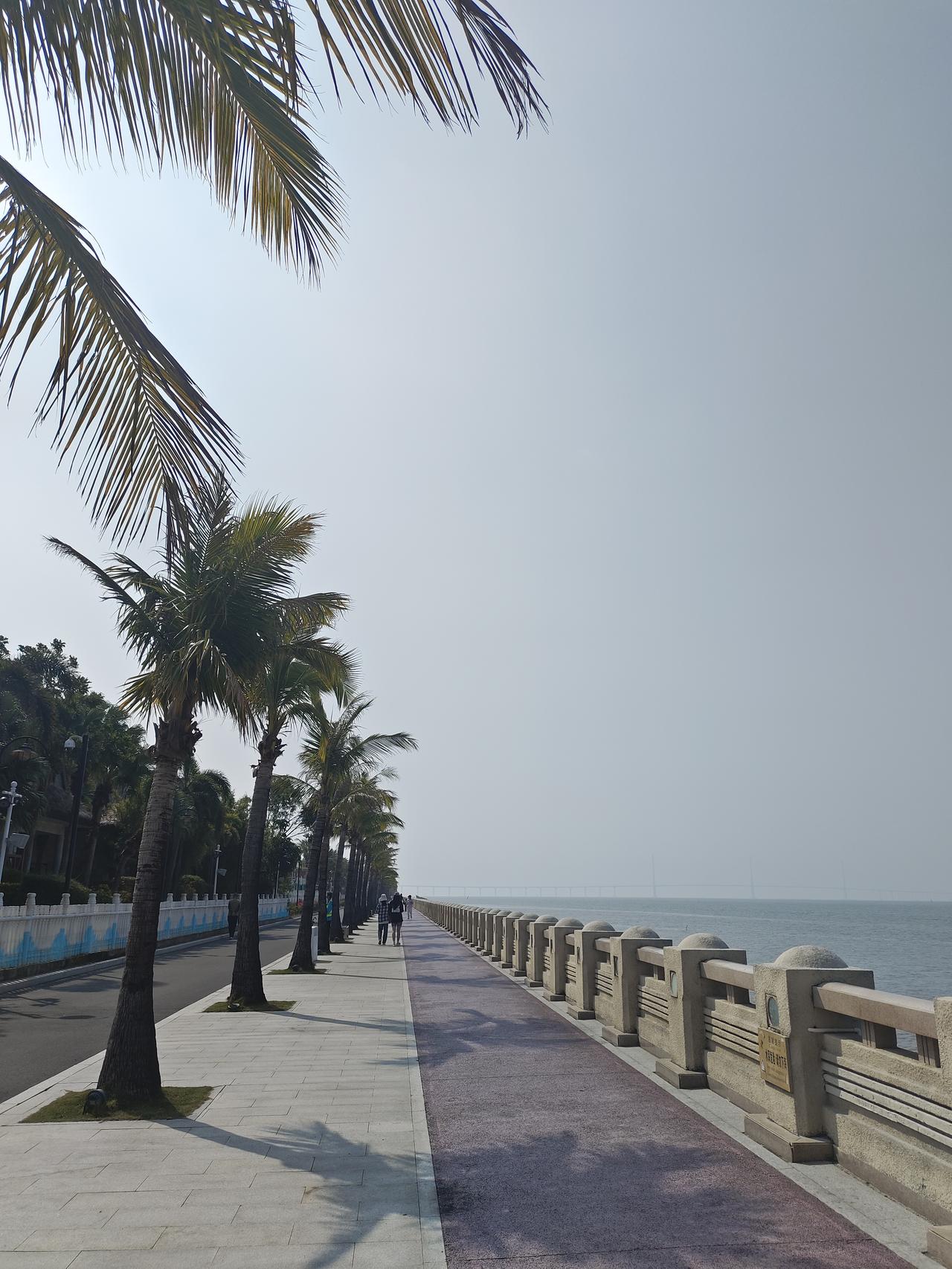 治内耗，就练这7招别再跟自己较劲了！内耗才是中年最大的劫，教你7招，彻底把