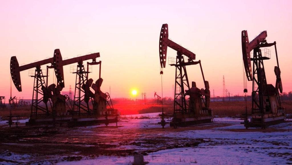 13192186463095001865.jpg?id=0