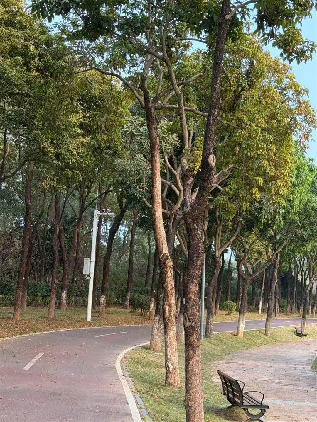 当赚不到钱时，别愁眉苦脸的，咱换个思路赚不到钱，那就去赚健康！健康的身体