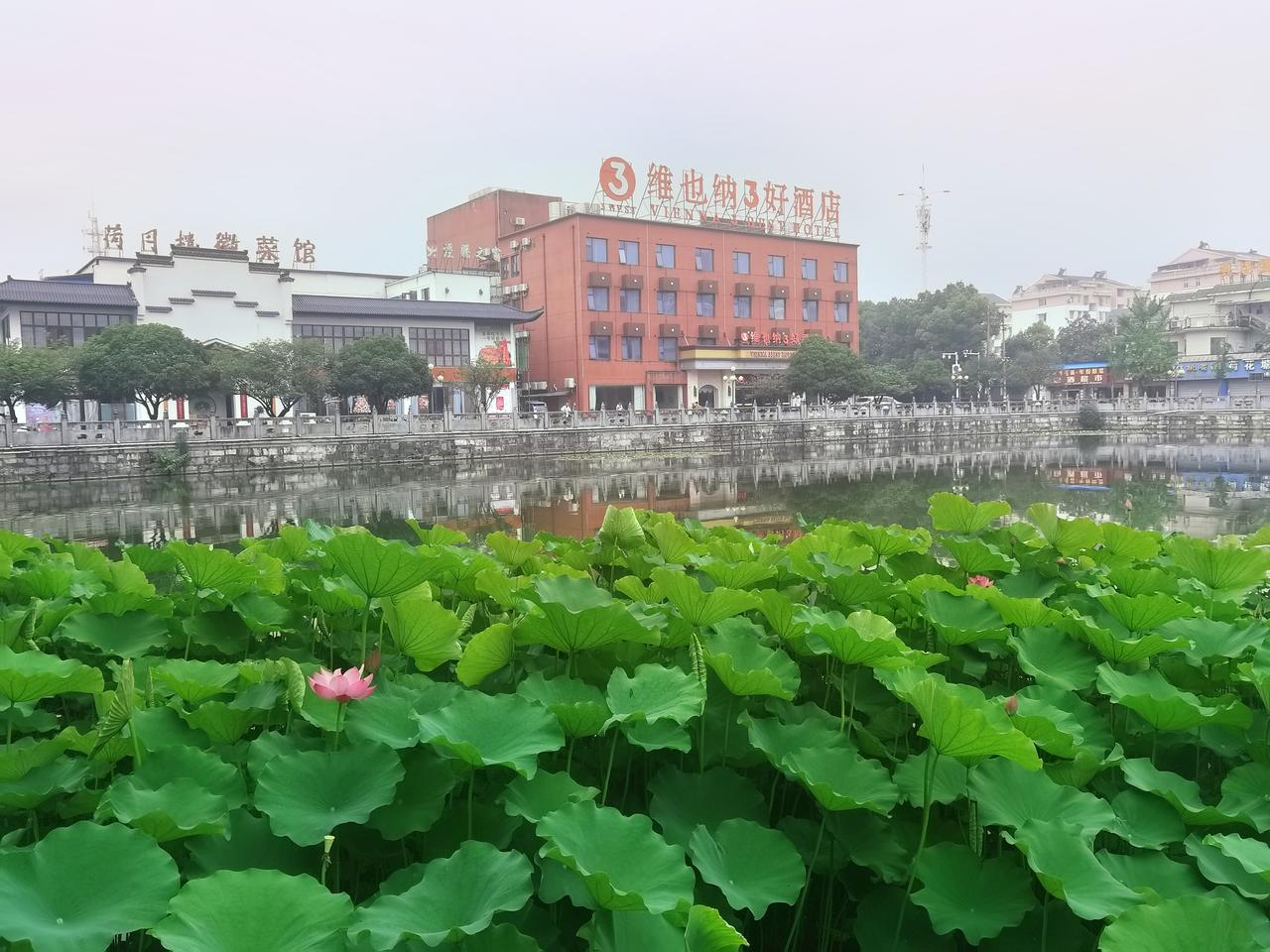 同学的儿子儿媳妇在广州工作，想让同学过去帮忙带孩子，没安排同学住家里。而是在同一