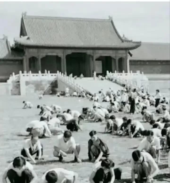 1949年，国家组织了7万人在北京故宫里清理垃圾，历时9个月清理出清末以来近40