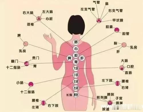 三伏天，这样晒背，不但能治病，还能治大病，但是晒背之后，要喝点它，不是水作者：樊