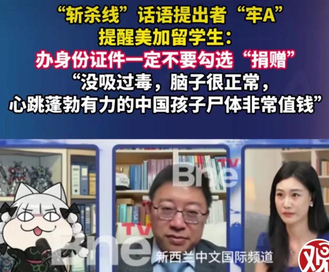 知道为什么中国禁止美国再收养中国孤儿了吧，美国人不养自己国家的流浪孩子，但万里迢