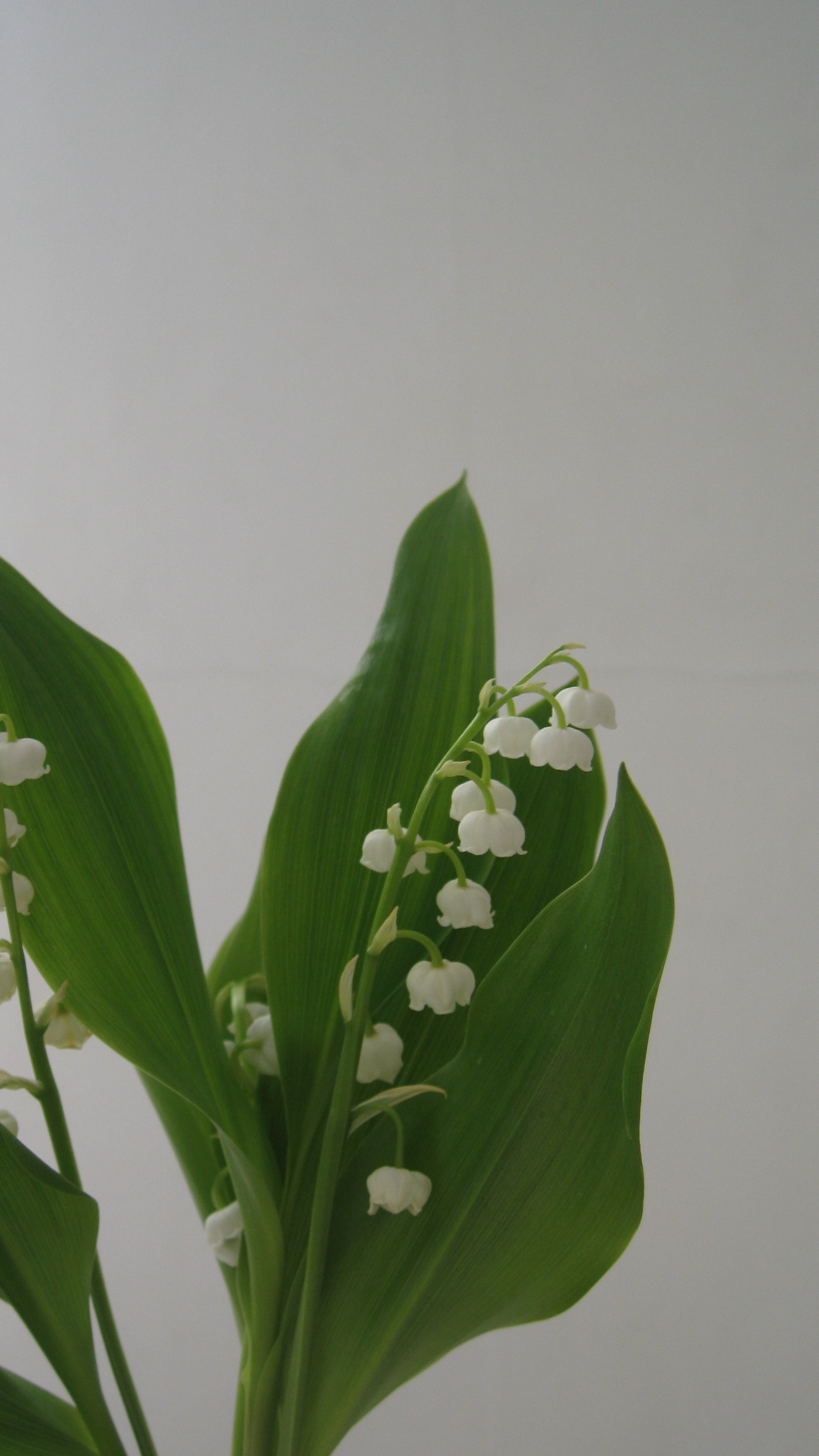 富田鈴花🚗「今日はどんな一日でしたか？」　suzygram