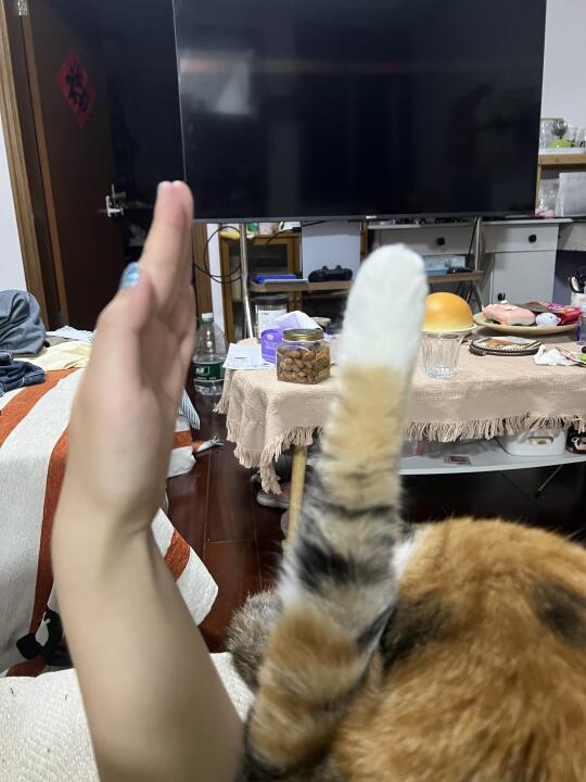 “老师我有问题！🙋”