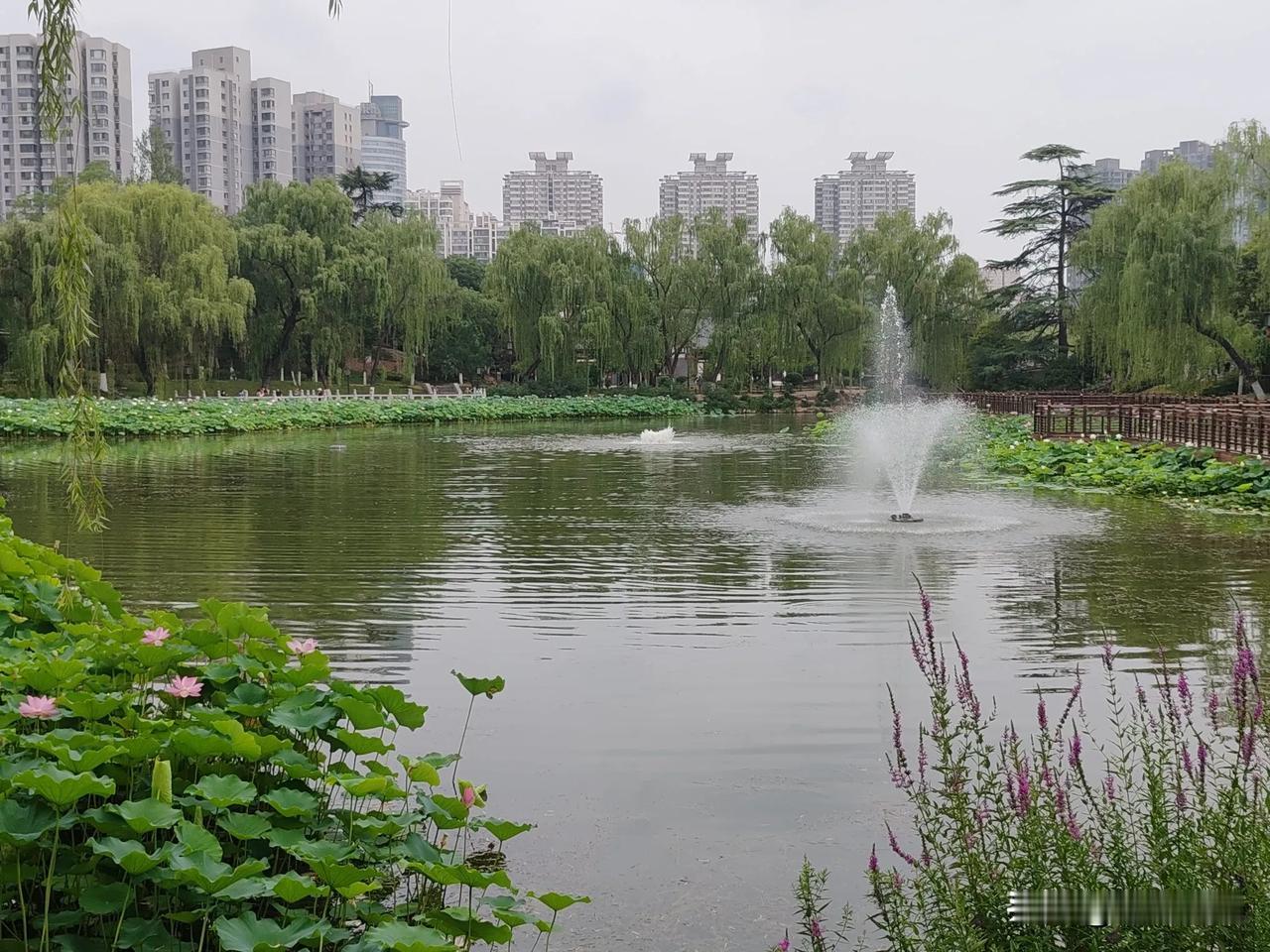 上联:一朵桃花诗百首，邀君赐下联看到“一朵桃花诗百首”这个上联，瞬间就感觉诗意