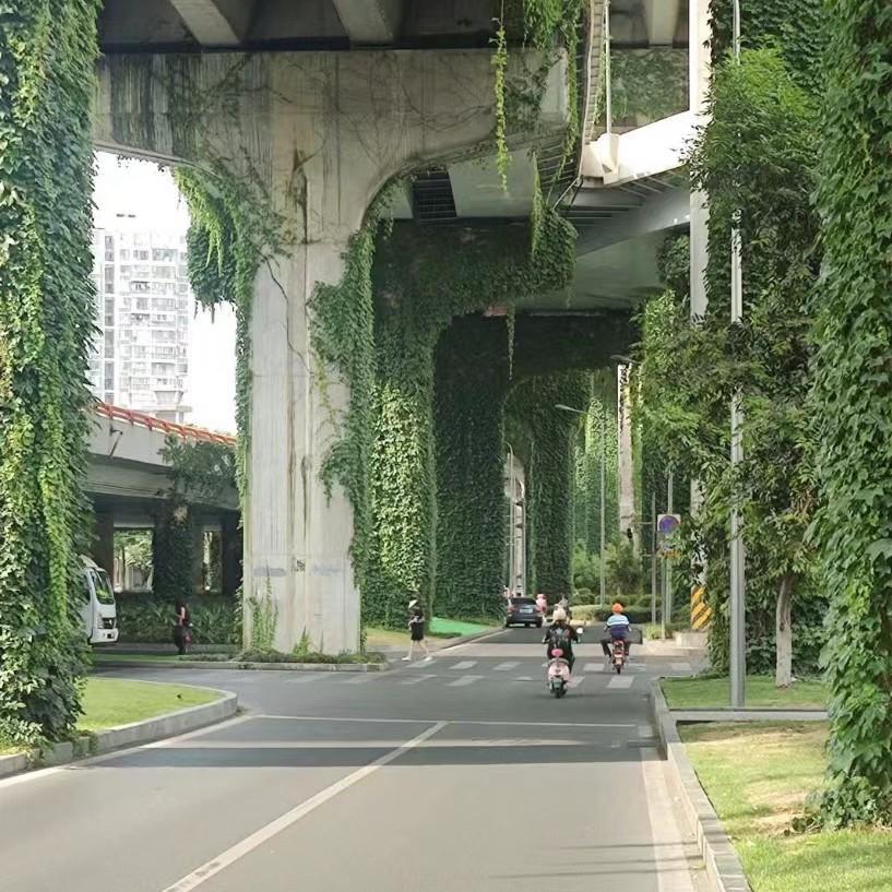 我发现一个共同的特征，那些在网上喷济宁内环高架没用的，基本上都是外地人，说