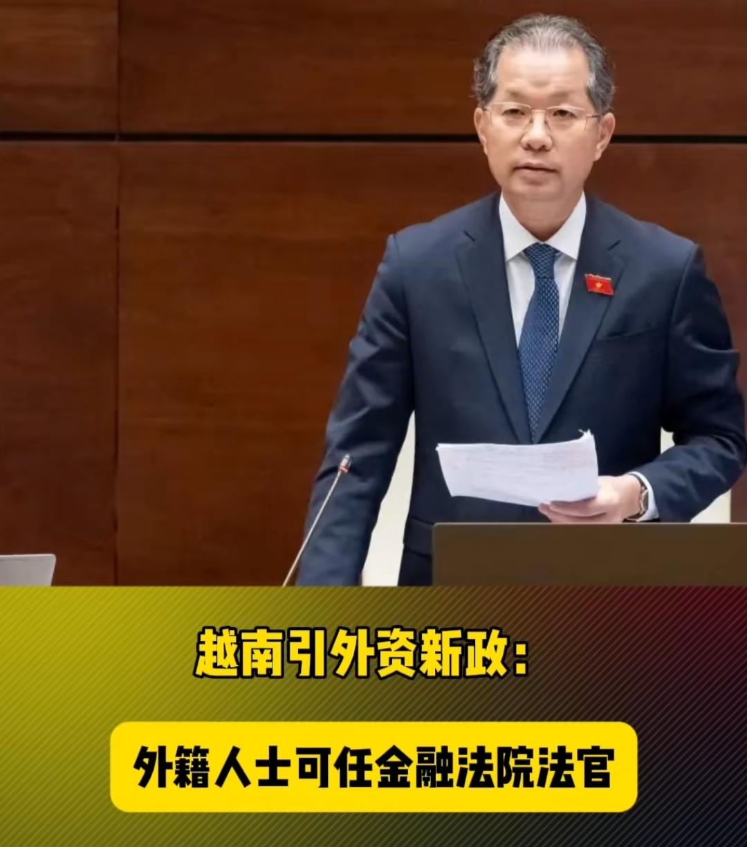 连外籍法官都要引进，越南为引进外资也是拼了。为弥补本国法官在国际金融专业能力与外