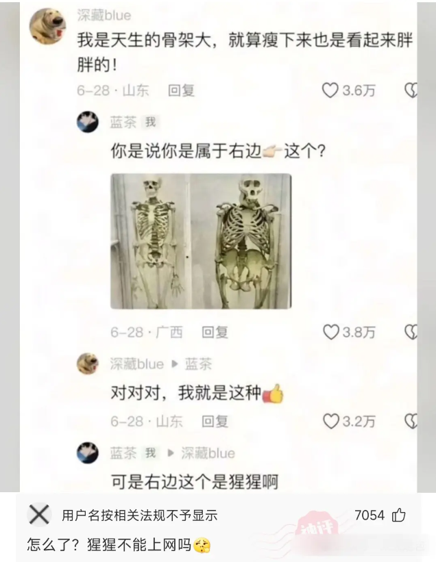 我们是专业的，除非忍不住~