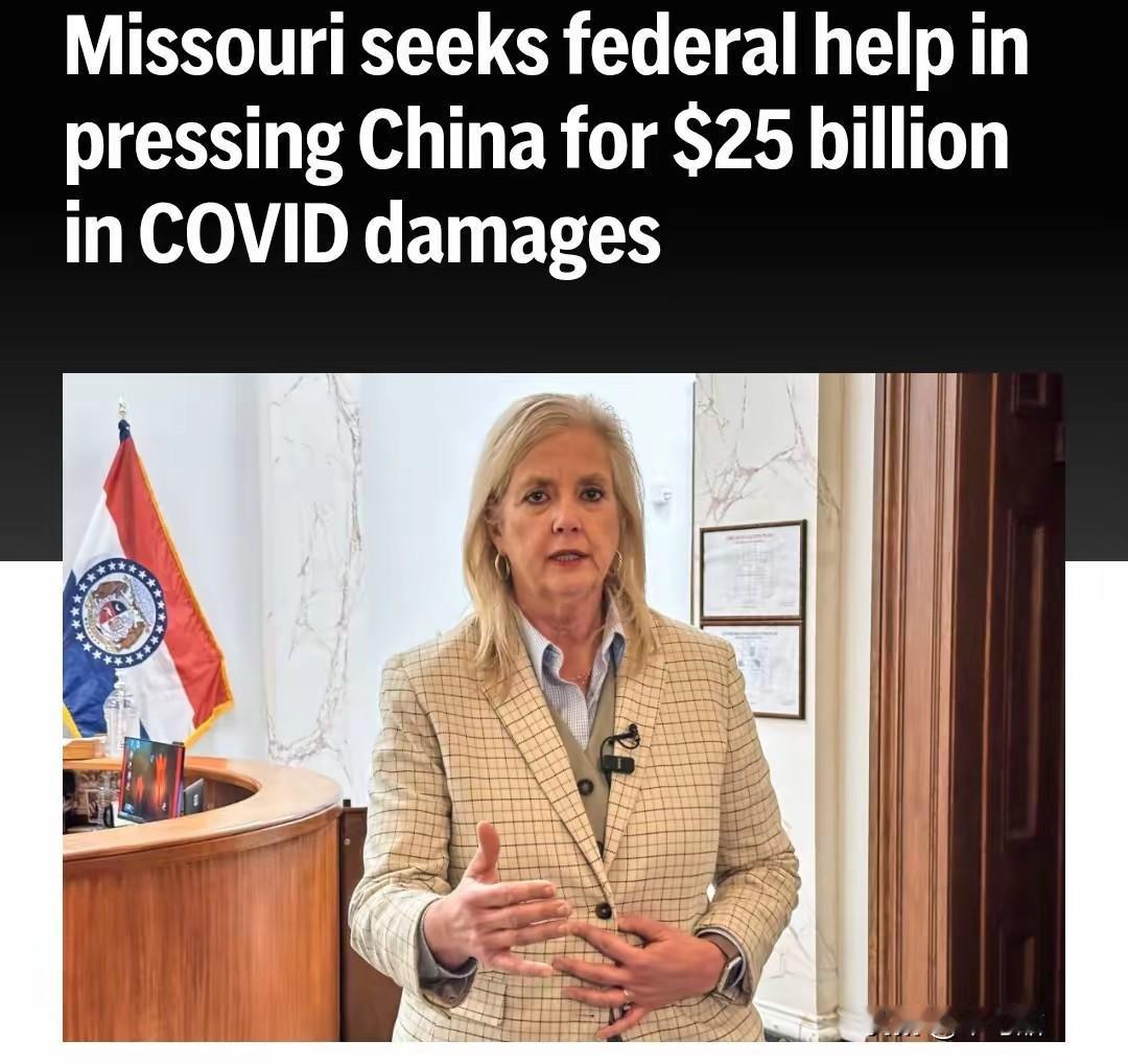 向中国索赔250亿美元？真是离了个大谱，11月20日，美国密苏里州指控中国在新