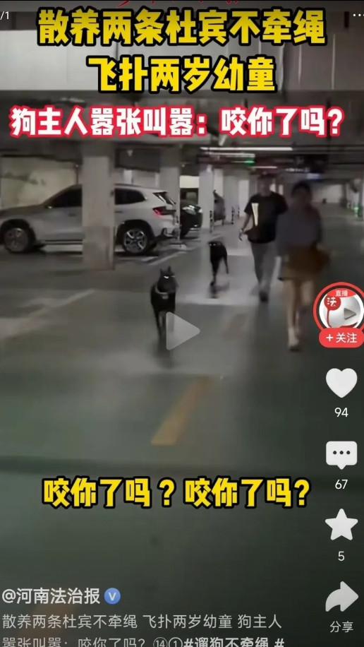 两条杜宾烈性犬直扑2岁小朋友而去！狗爸狗妈还在叫嚣质问“咬到了吗？”。这种烈性
