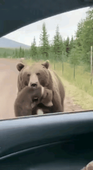 这孩子我也不想带了，送你得了…