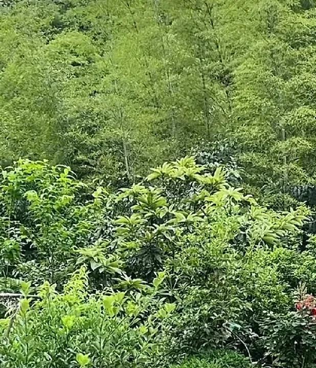 高考结束，不管大女儿考得好不好，我都要履行之前对她许下的承诺。昨天，因为她对我给