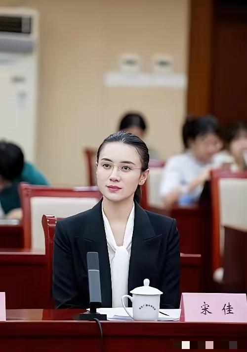 80后宋佳能坐在政协会议室前排。当今中国娱乐圈淫秽混乱，关系乱七八糟，一部好戏，