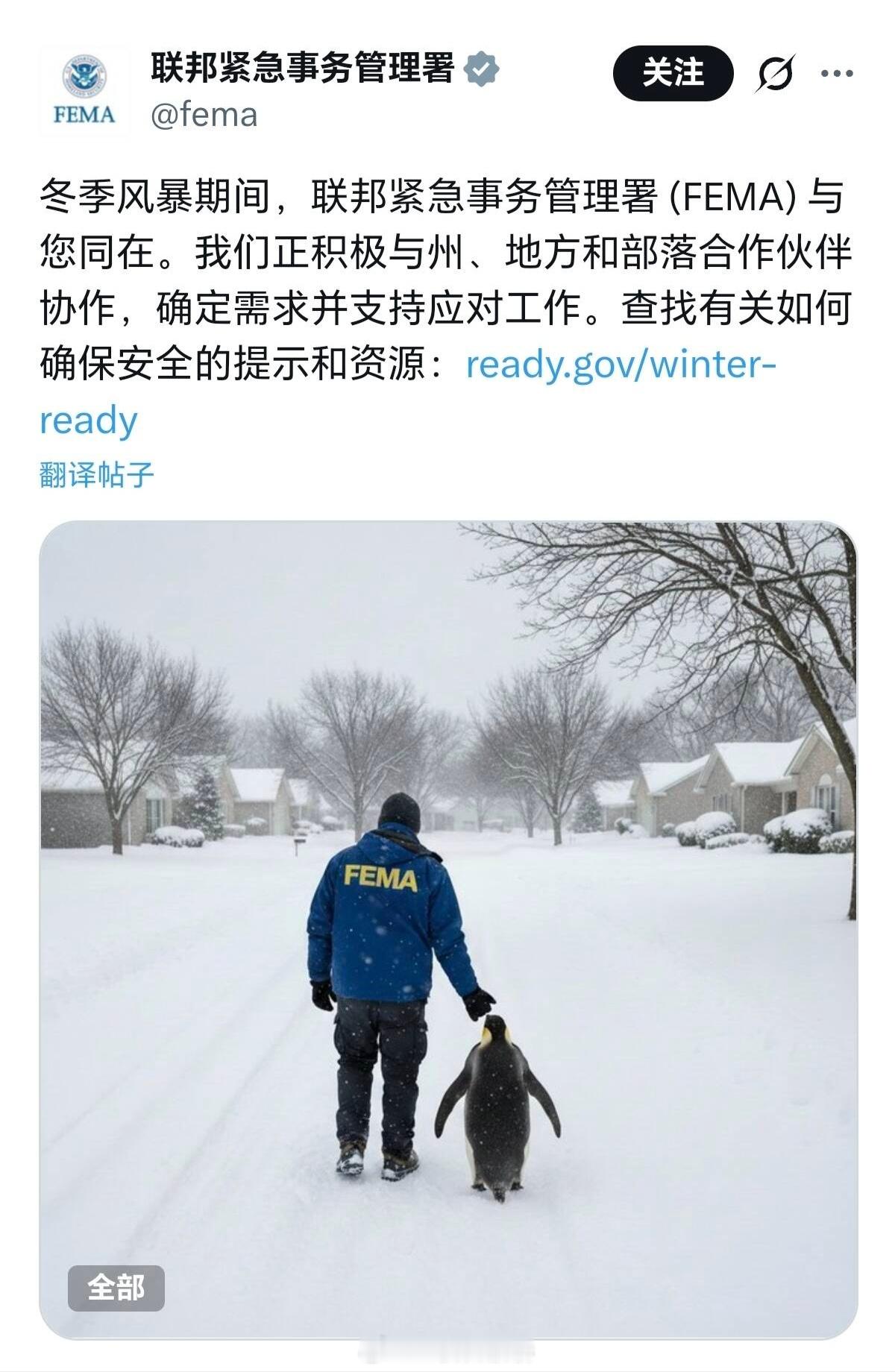 企鹅这下王朝了。