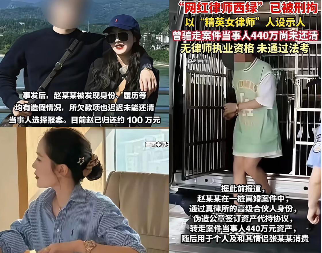 “网红律师西绿”虽然说是“冒牌律师”，但干的也是涉及律师业务的，知法犯法骗走案件