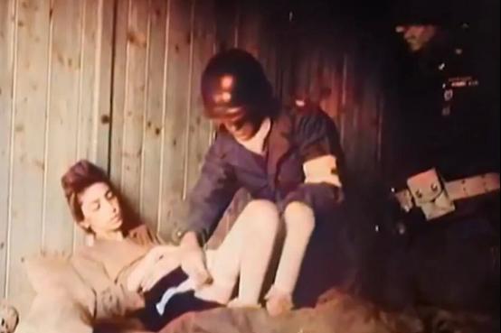 1944年夏天，二战的硝烟弥漫，犹太人被迫离开家园，前往一个名为奥斯威辛的地方。