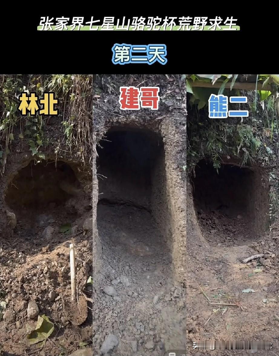 荒野赛挖洞谁最强!林北挖洞不能睡人兄弟们，张家界七星山这场荒野求生，直接变