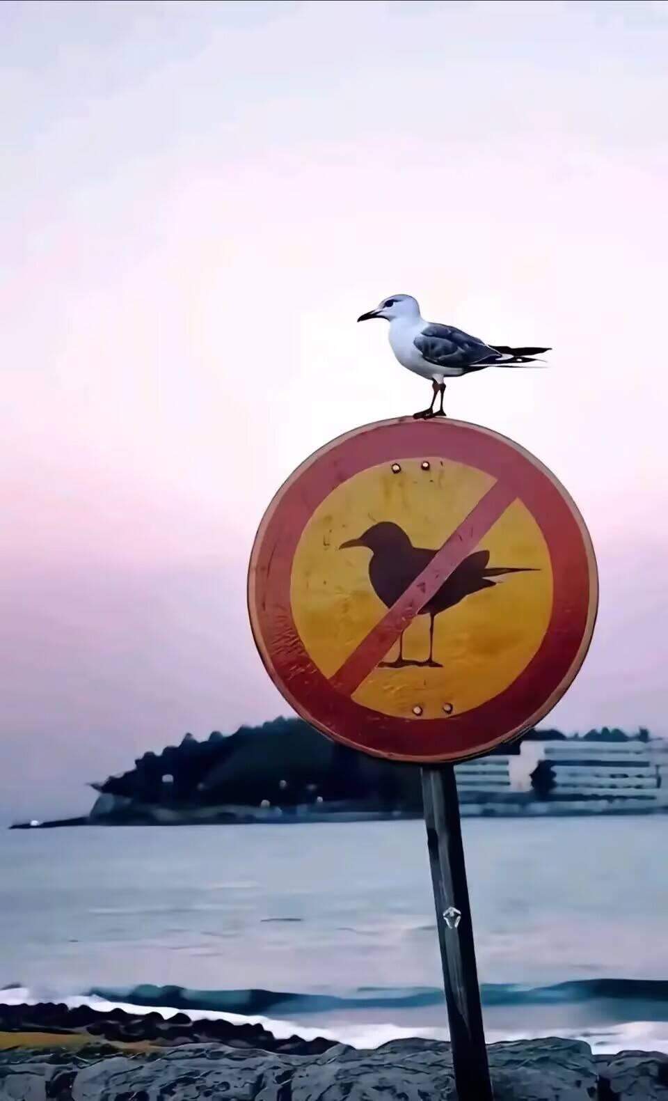 哈哈哈哈，贴脸开大属于了[笑着哭]