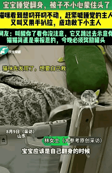 “万物皆有灵！”山东宝妈午睡被猫挠醒，刚要发火，一看孩子直接吓出冷汗：这哪是猫，