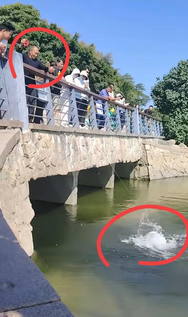 深圳湾公园的钓鱼佬，太凶残了！深圳湾公园的凶残钓鱼程度；已经到了令人发指的地
