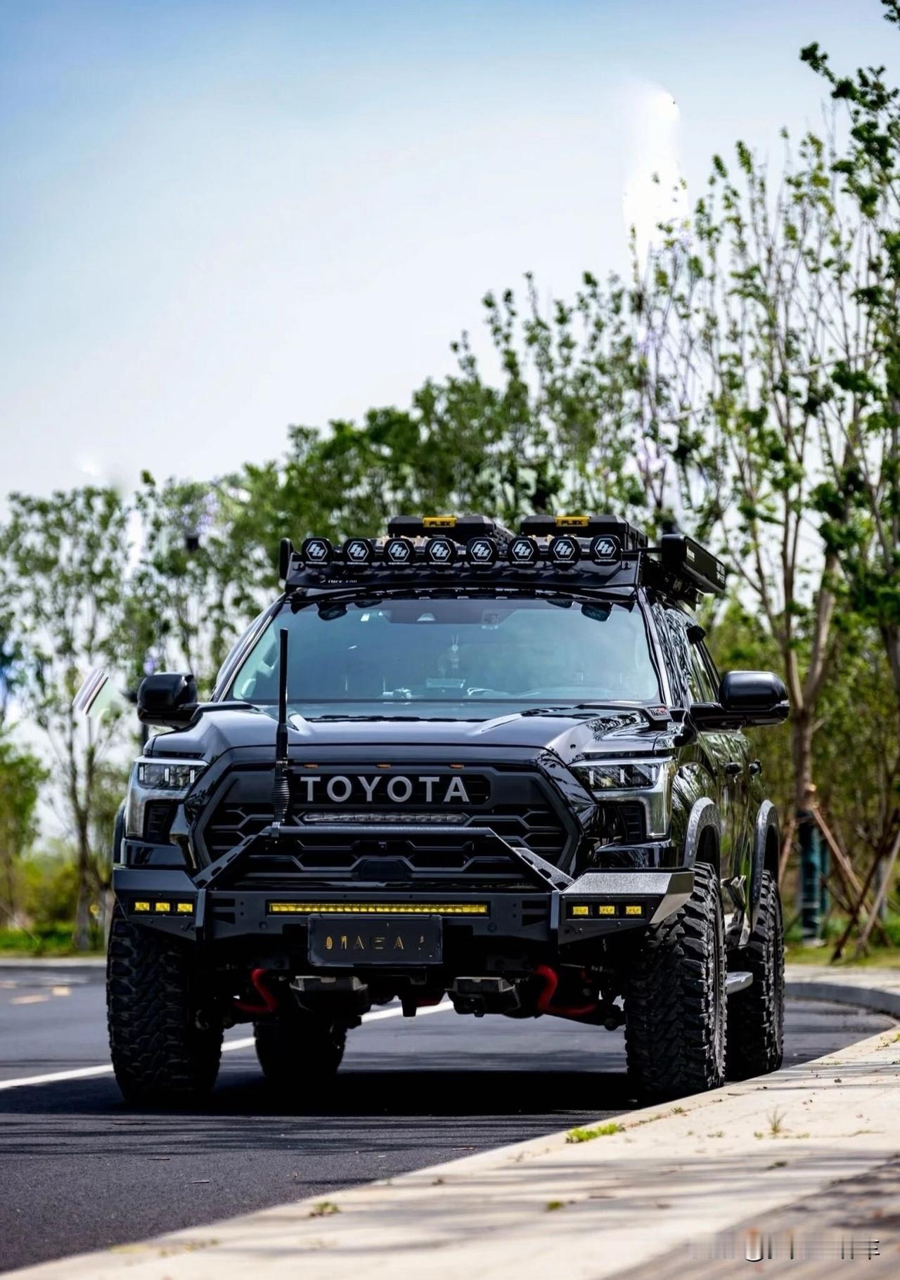 丰田红杉（ToyotaSequoia）以北美红杉树命名，是丰田专为北美市场打造