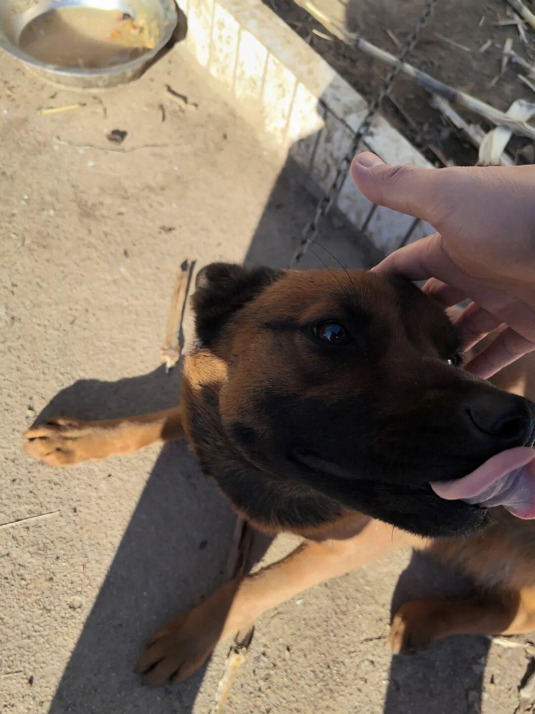 观察一下，凡是生命力极强之人，长寿之人，没有一个是内耗的人，没有一个是天天活在抱